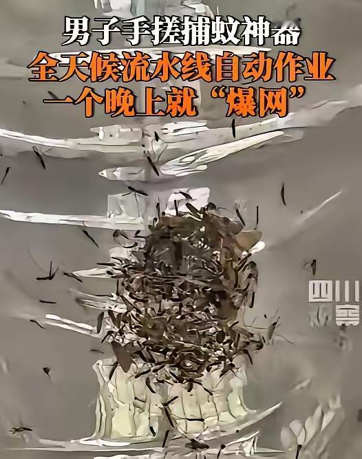 福建大哥这波操作太绝了！被蚊子逼到没辙，竟靠家里的旧风扇和紫光灯，自制捕蚊神器一
