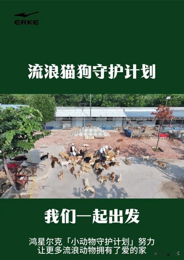 鸿星尔克好不容易立起来的口碑  

突然搞了个流浪猫狗守护计划  

哥们问我咋