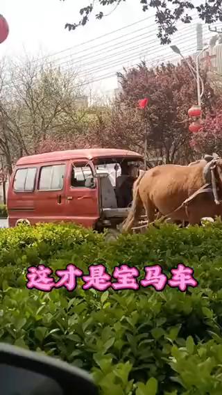 这才是宝马车。
