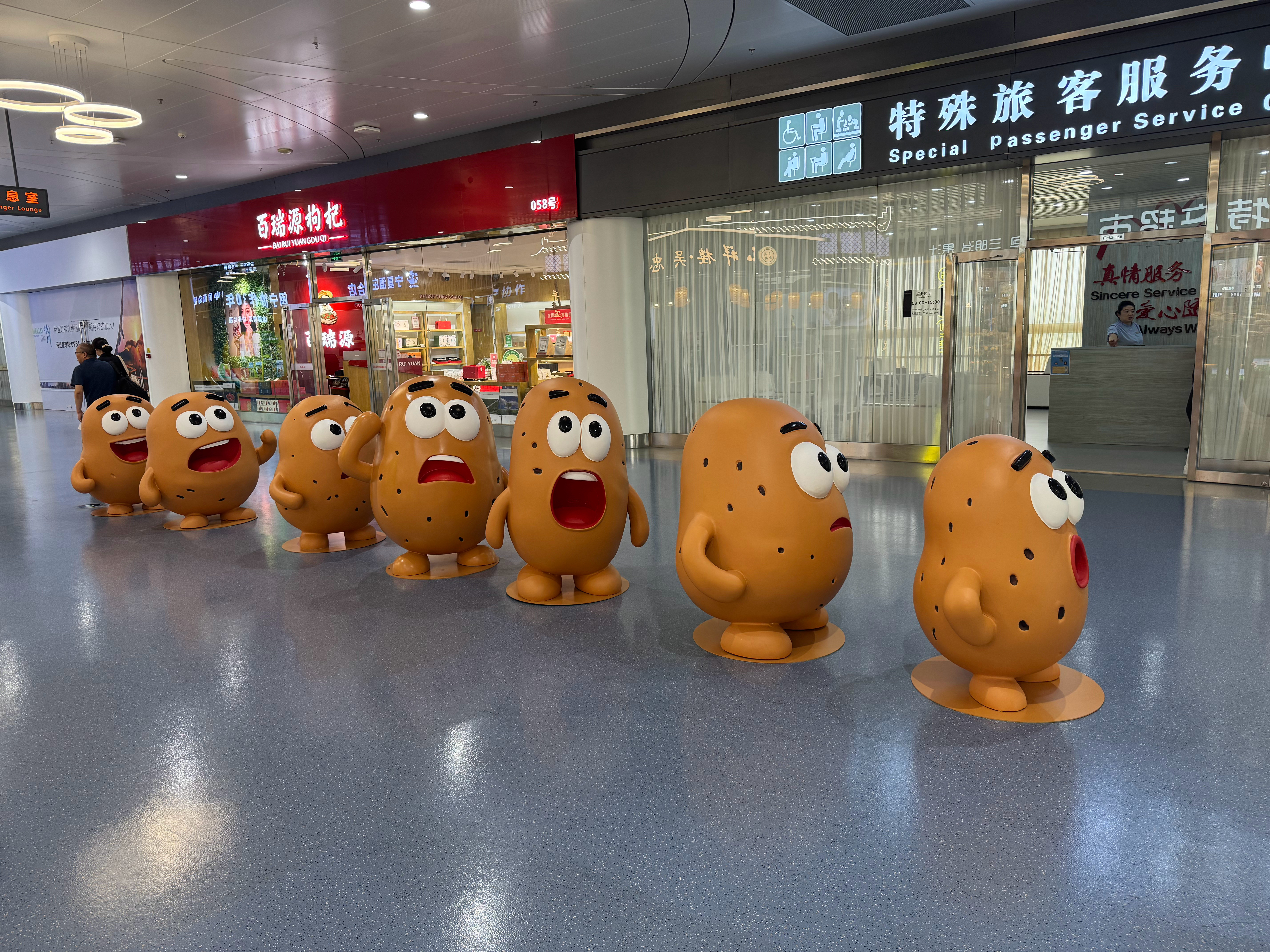 呀！一排刘筱亭！ 