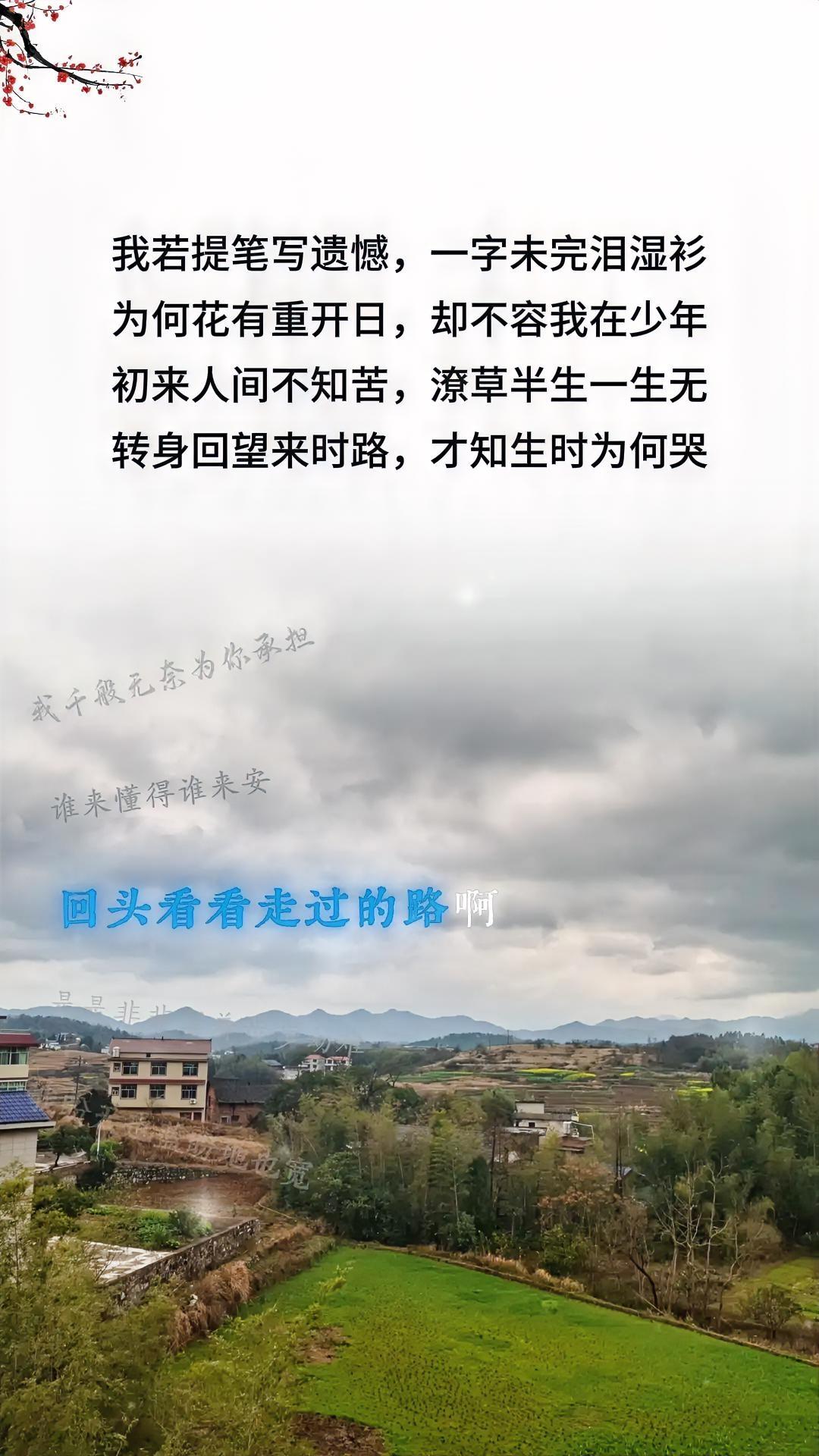 前半生的我，像一头倔强的困兽，哪怕自损一千，也要换你八百，以为那是勇敢，其实不过