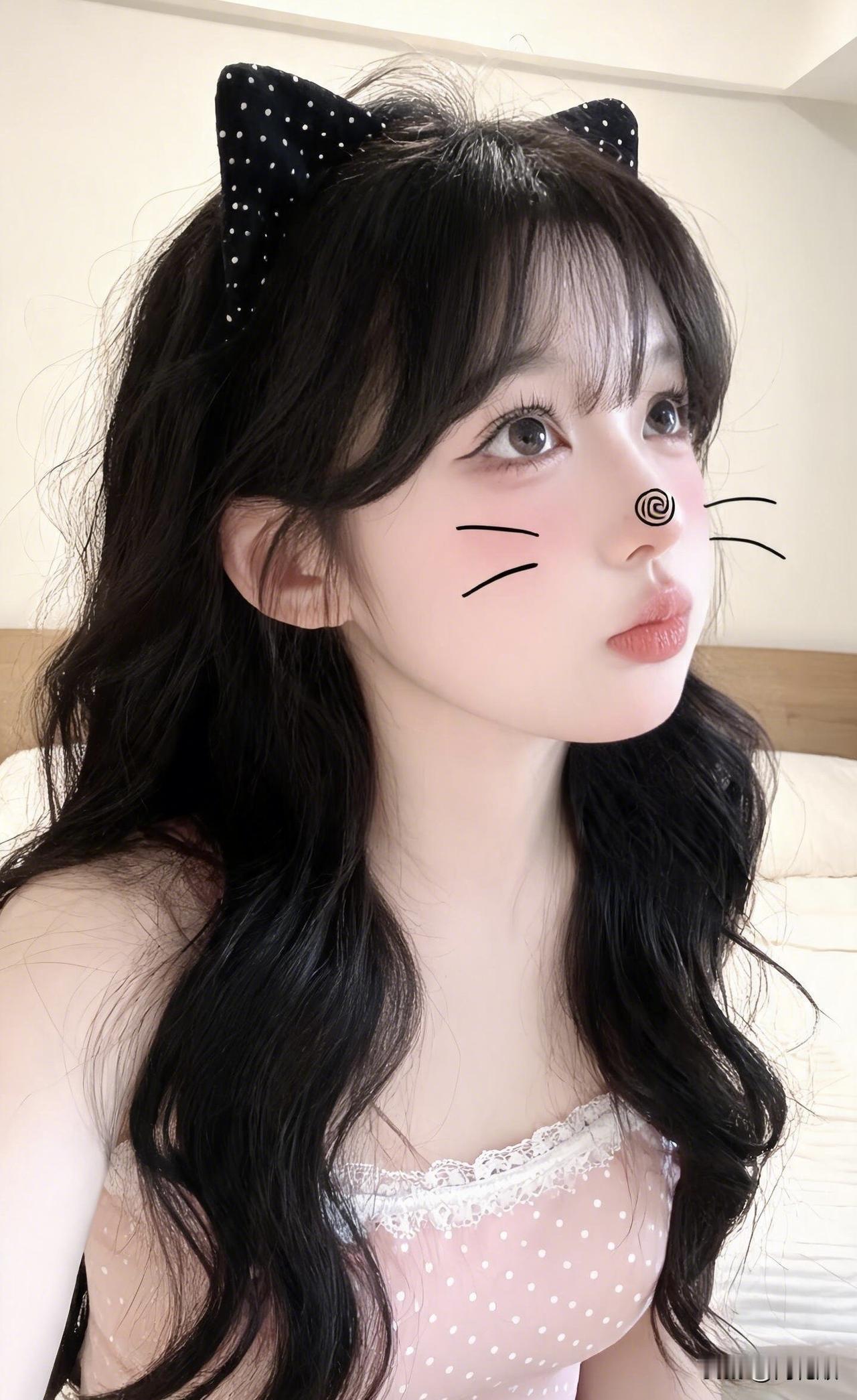 分享女神美图一只可爱的小猫咪[送心][送心][送心]