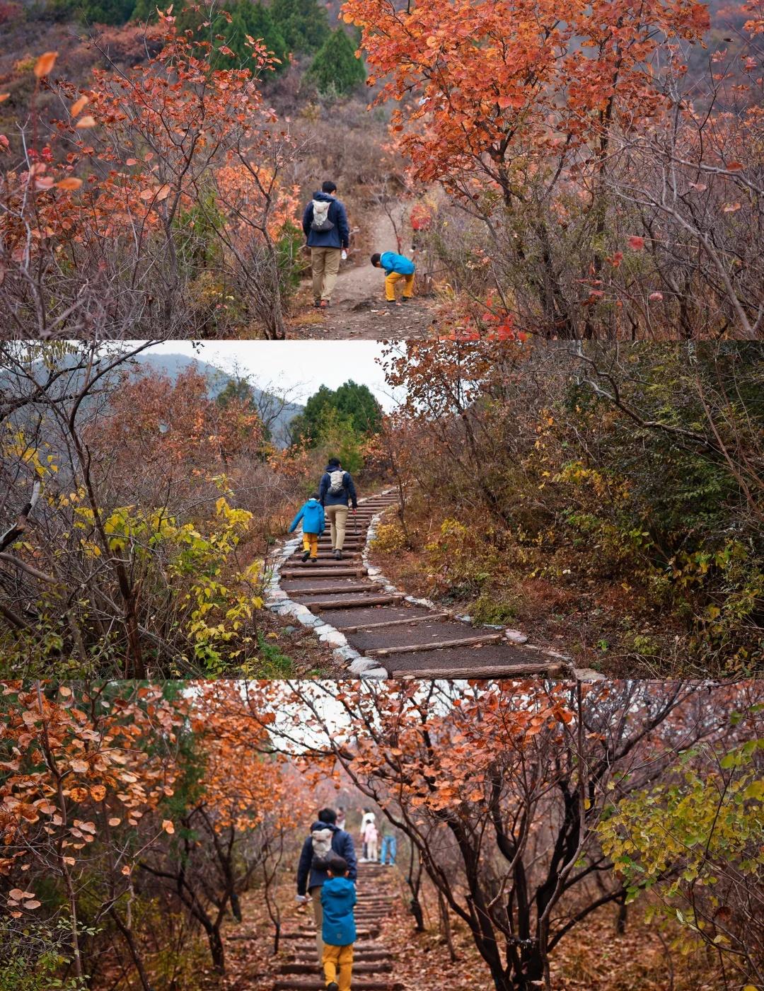 秋景倒计时💨房山龙骨山小环线错峰赏秋
房山西山登峰揽胜步道周口店址段
这是这次