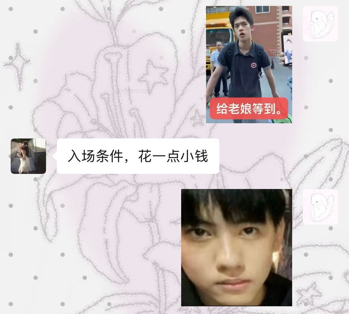 我找到全世界最好用的表情包了 