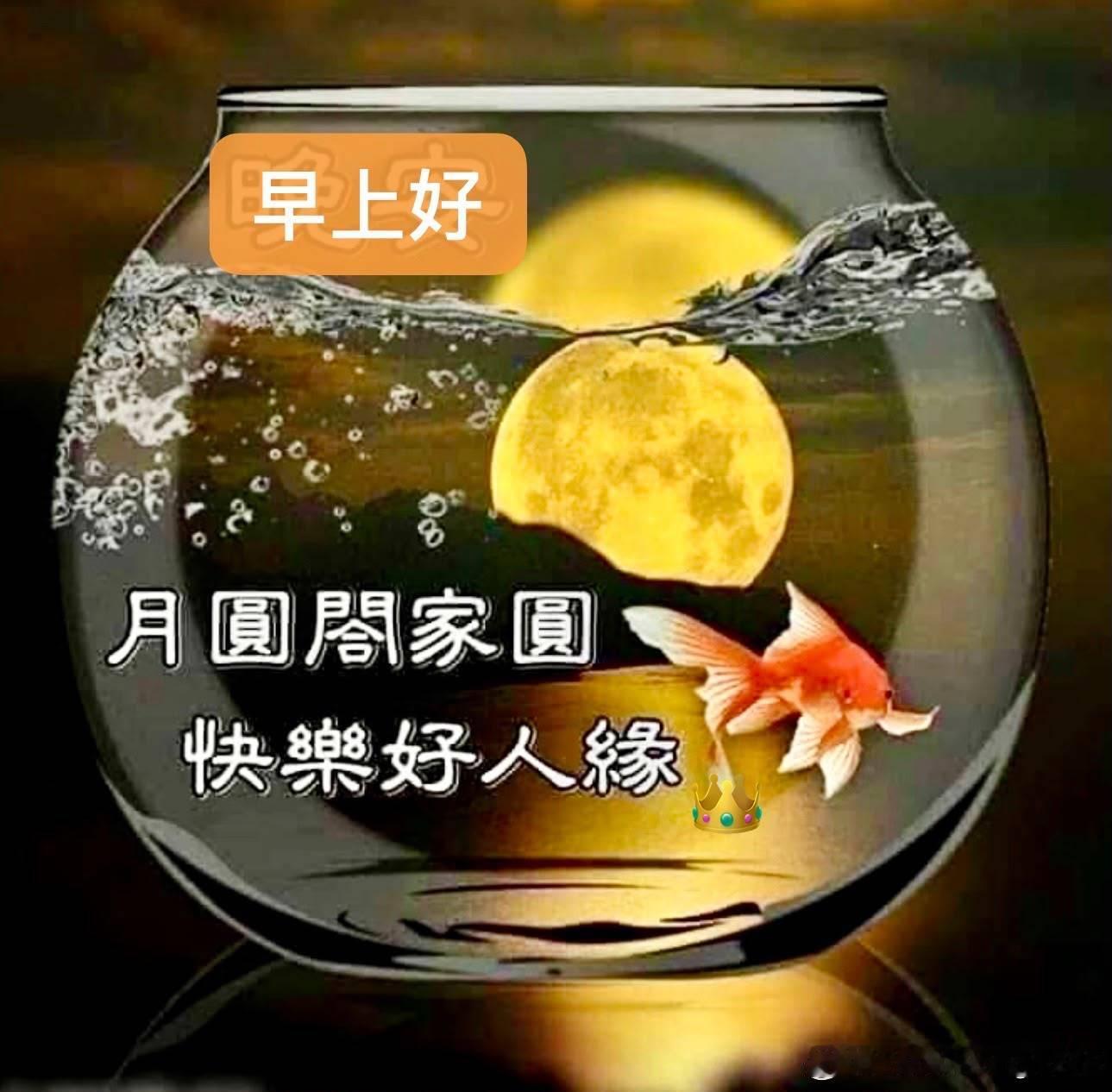 早晨 ​​​