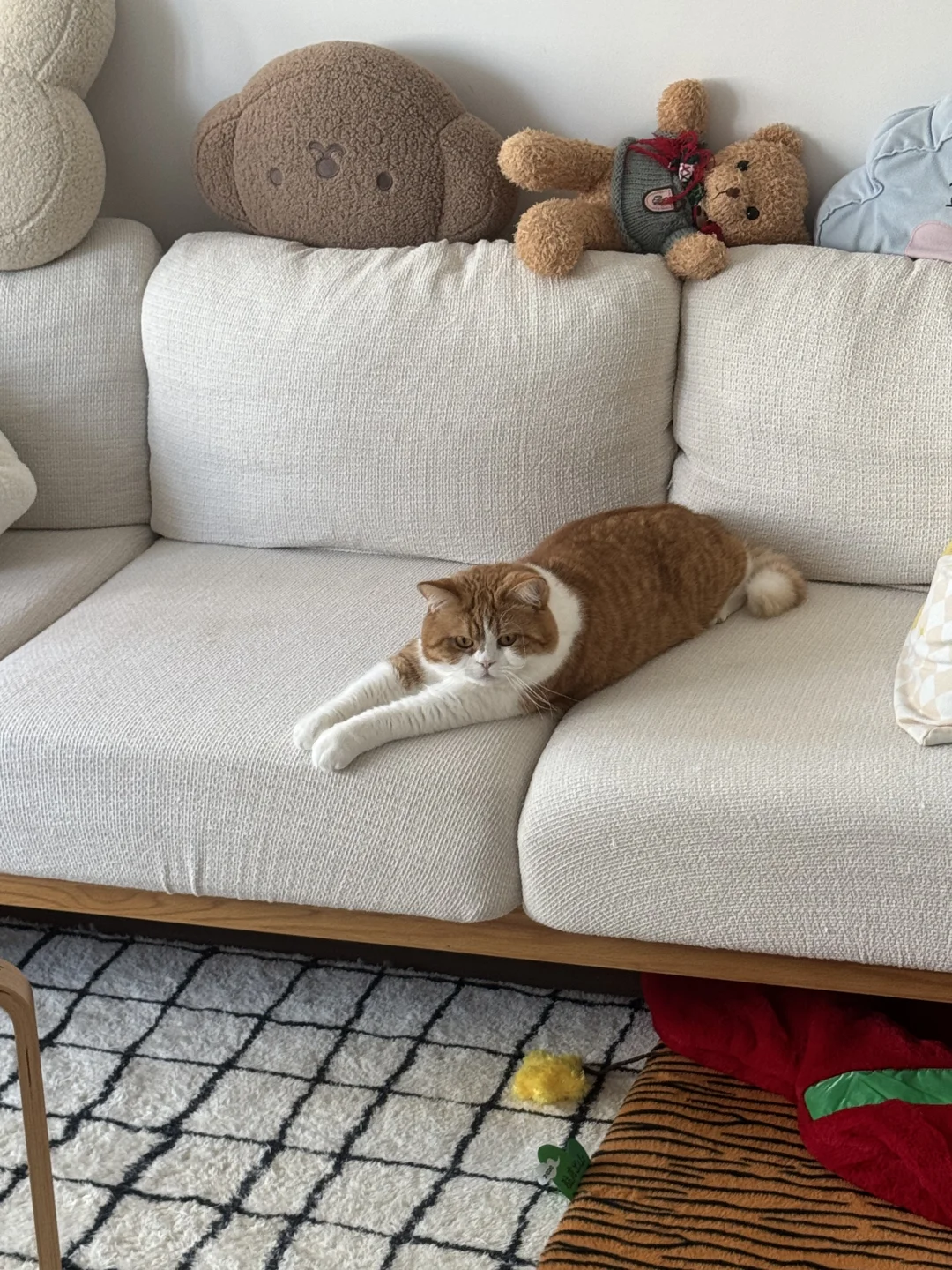 这么趴着能舒服吗