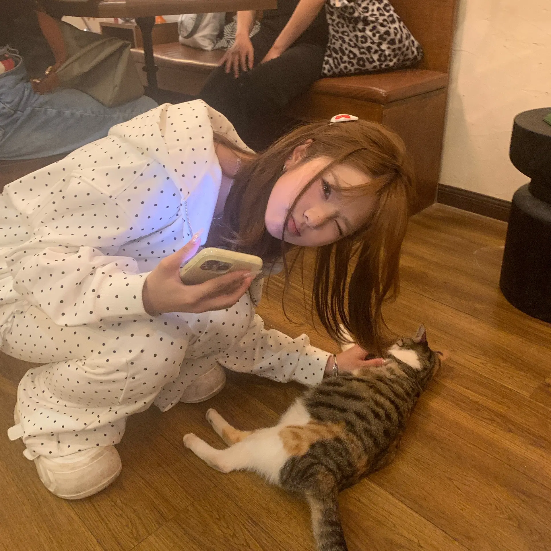 猫᳐猫᳐ ੭