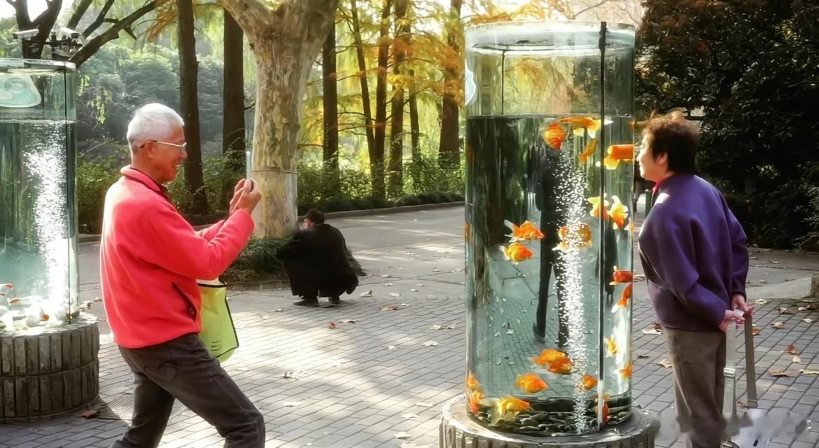 我们都该拥有感知幸福的能力 