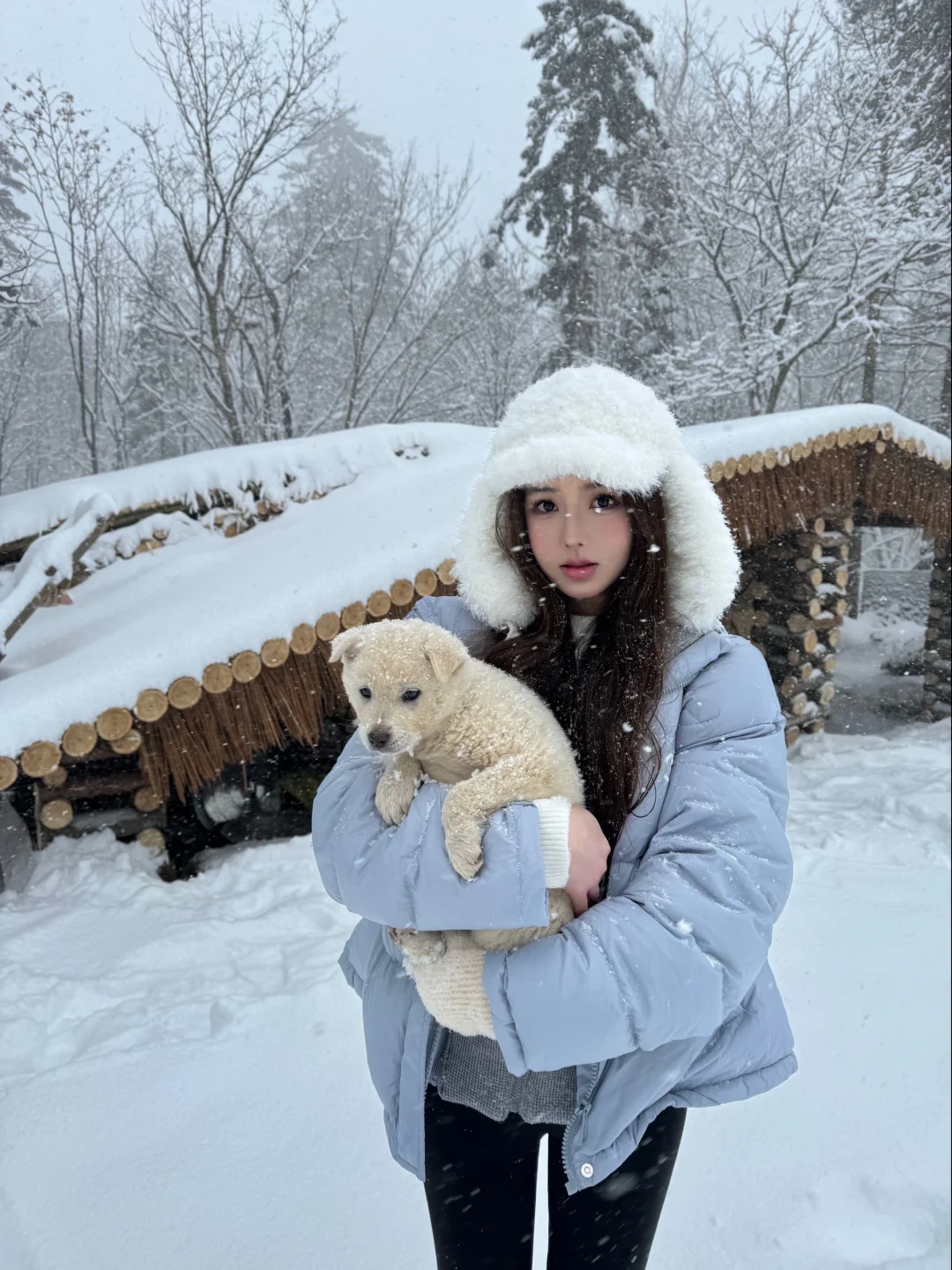 都进来看我的雪地美照