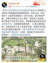 支持狗主入刑，只有在严苛法律的基础下，才能避免悲剧一而再的发生。

10月16日