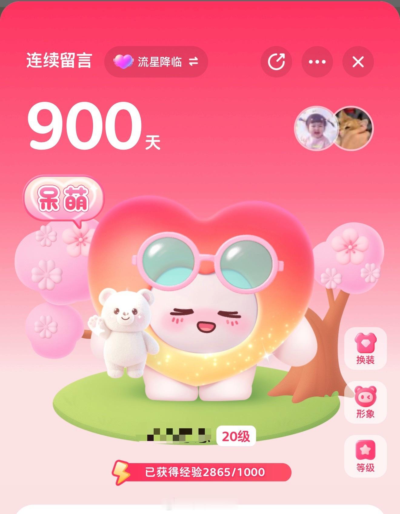 养这个小玩意900天了乖宝闲聊