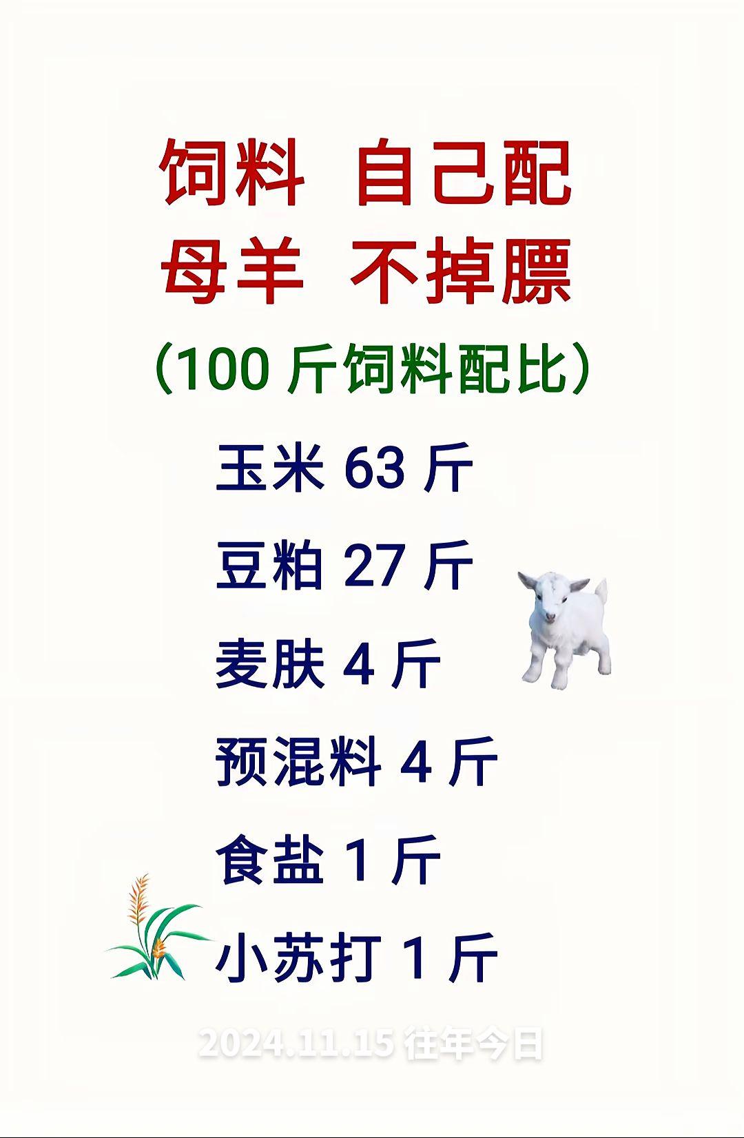 养羊人 农村养羊