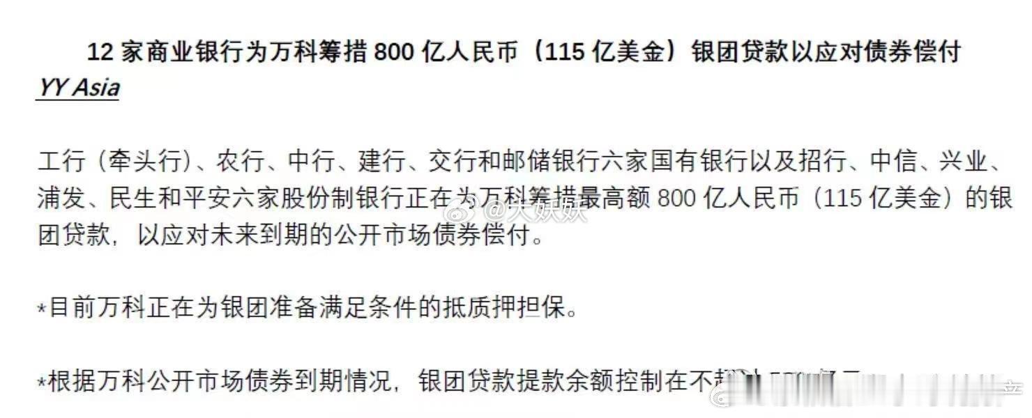 万柯估计很难从非银机构那里拿到钱了，没有任何人敢投资，现在只能从国有银行贷款，支