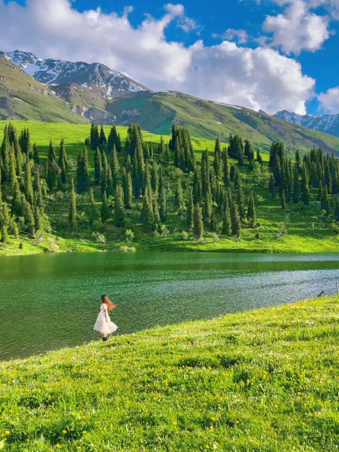 我的年度旅行9图📸 这才是live图的意义