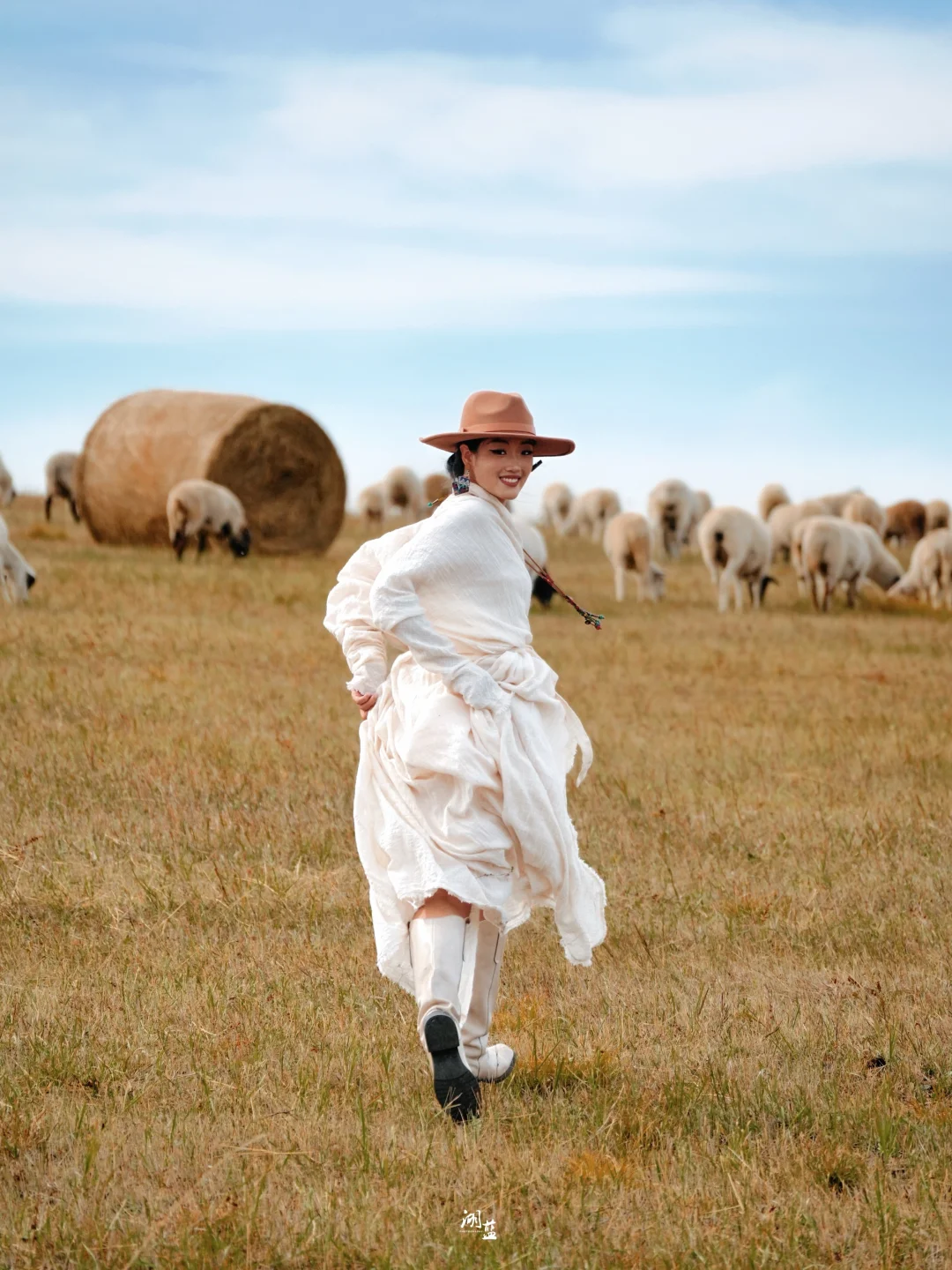 在呼伦贝尔，同时拍到了羊群和草垛和牧羊犬