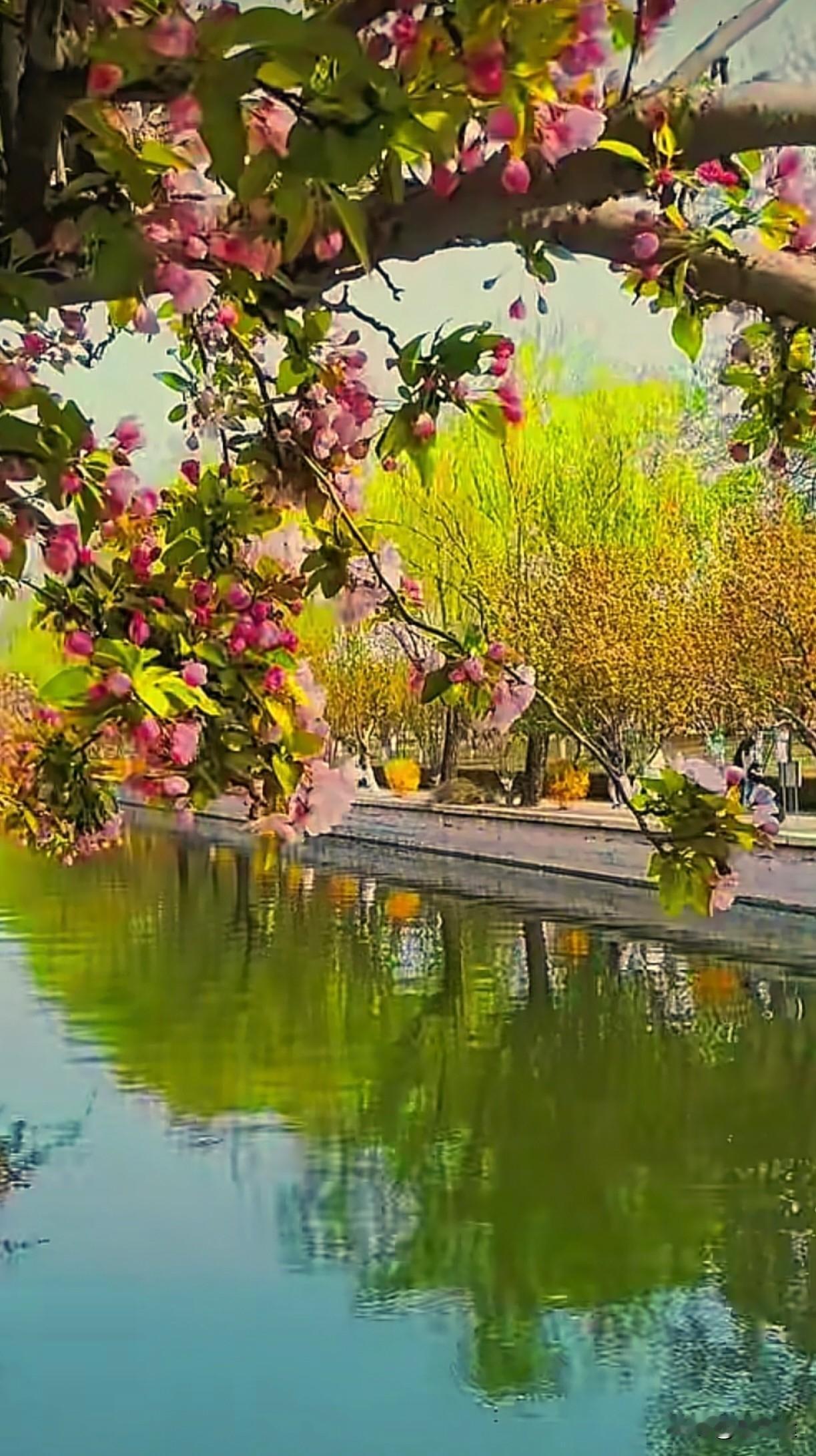 所谓“极限施压”，本质上是一场披着外交外衣的心理博弈。它源于旧有霸权的焦虑，惯用