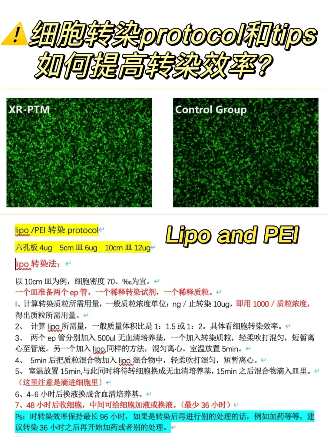 ⚠️细胞转染protocol和tips（提高转染效率