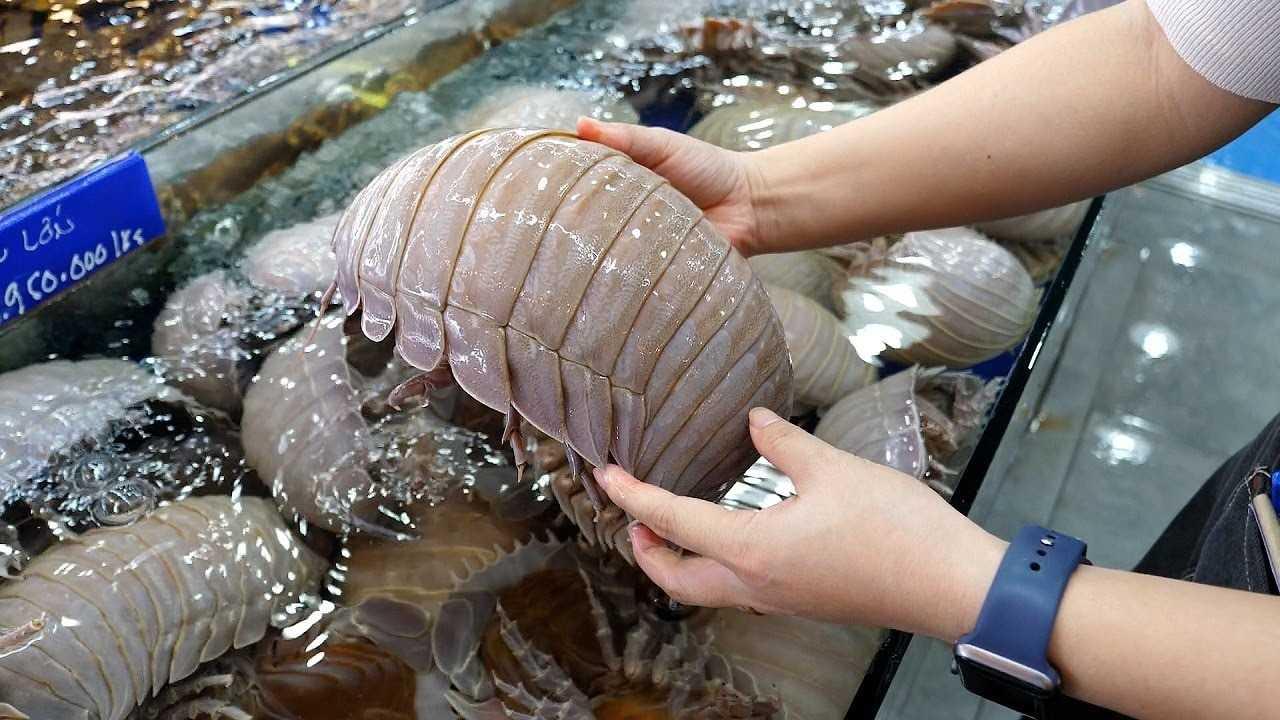 2026年8月1号8点的游戏，这时间设定得还挺有仪式感。不知道会是什么样的游戏呢