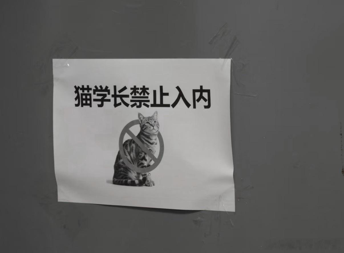 阴暗…爬行… 