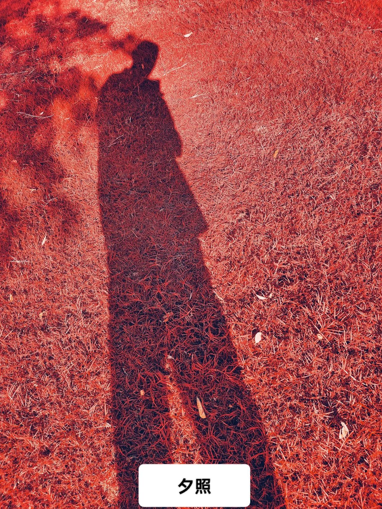 上联：热情似火熊熊燃
下联：———————