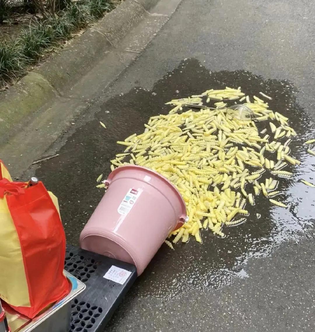 创业还没开始就失败了