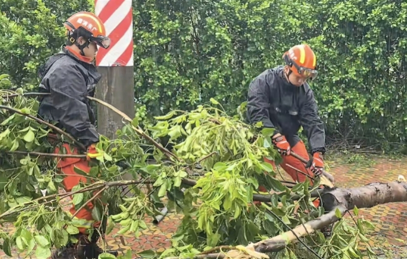 #台风红霞中广东消防逆风救援#【阳江消防雨夜转移被困深山的一家四口！汕尾处置倒伏