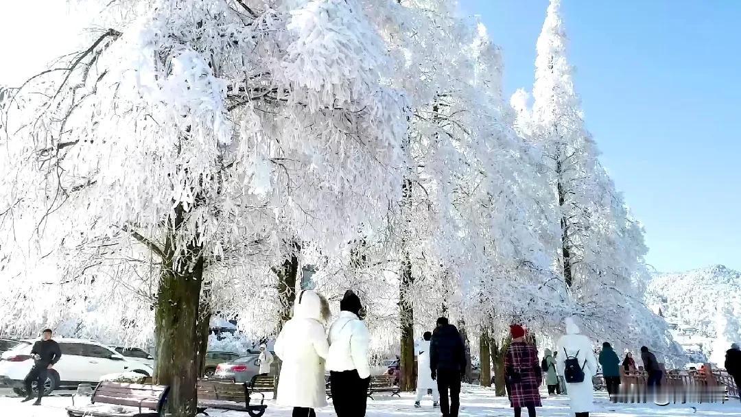 晒一张手机最美的雪景照九宫山雪景