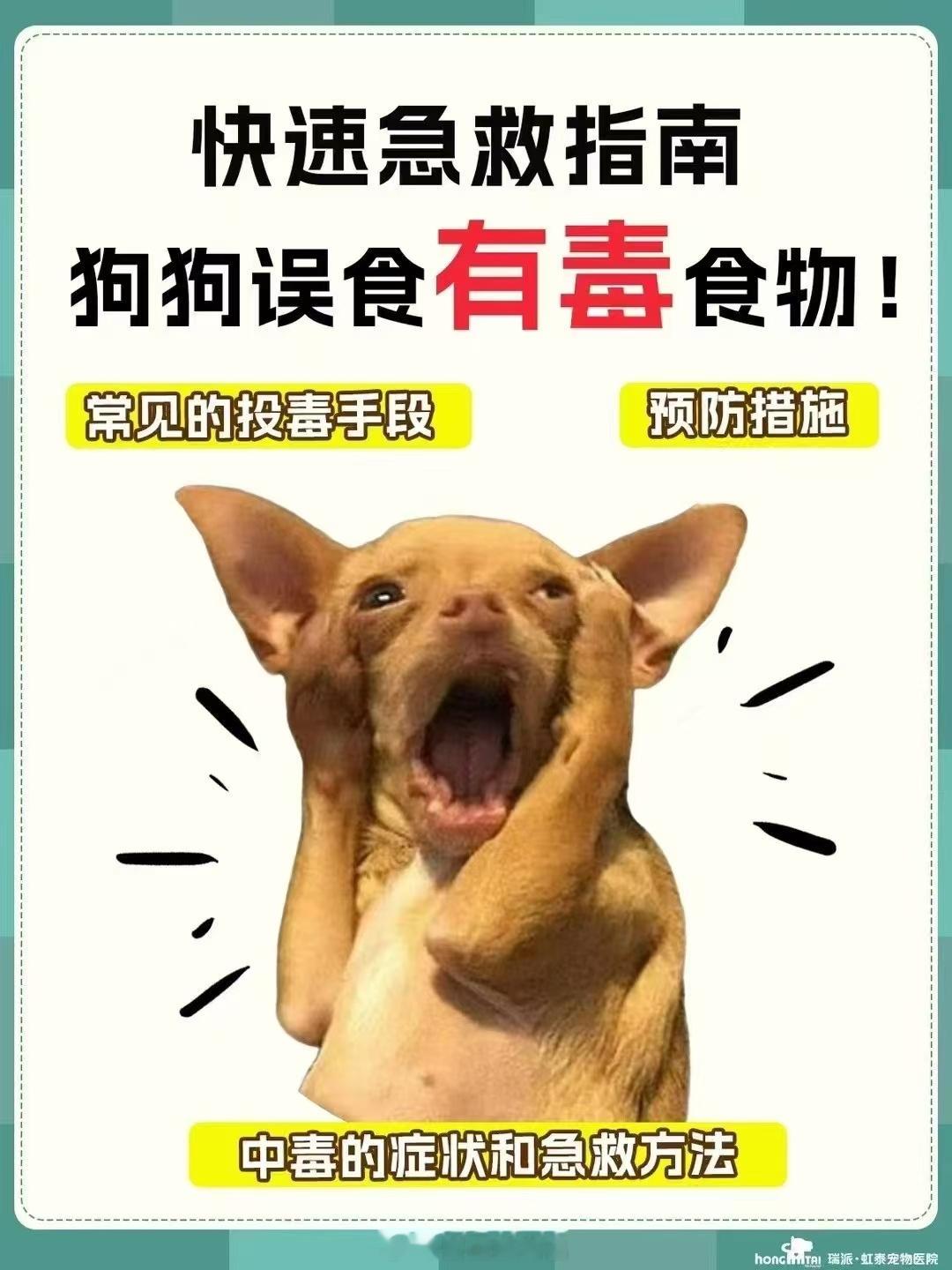 急救tips近期宠物🐩投毒事件频发，保护好小狗，我们能做些什么‼️都给我仔细看