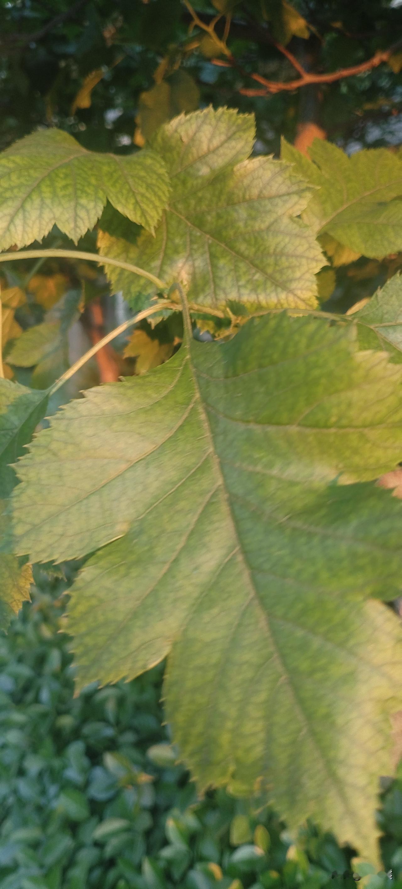 作为普通打工人，我们辛辛苦苦上班攒下的血汗钱，老老实实存进银行，图的就是一份安稳