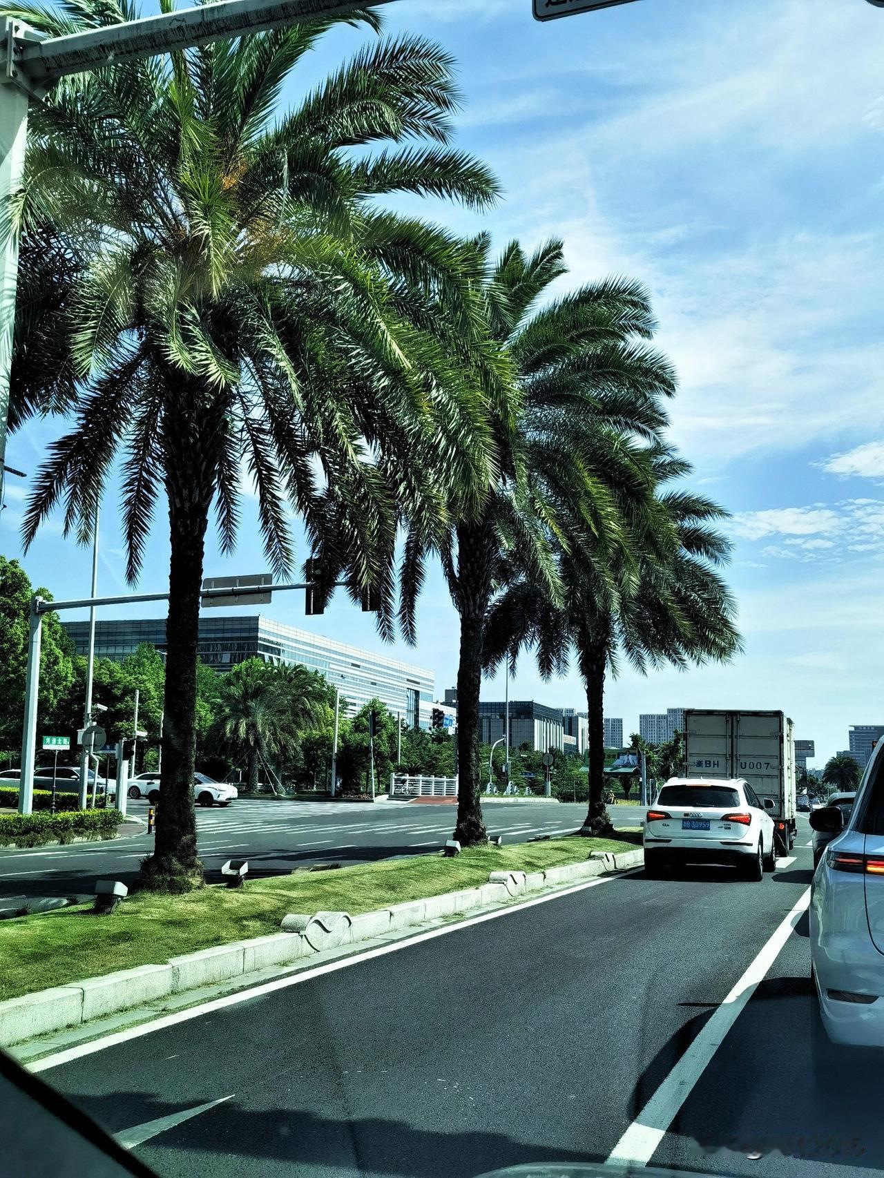 河清北路的城市特点，不高，但是很好看

去东部银泰城，开车途径河清北路，等红灯的