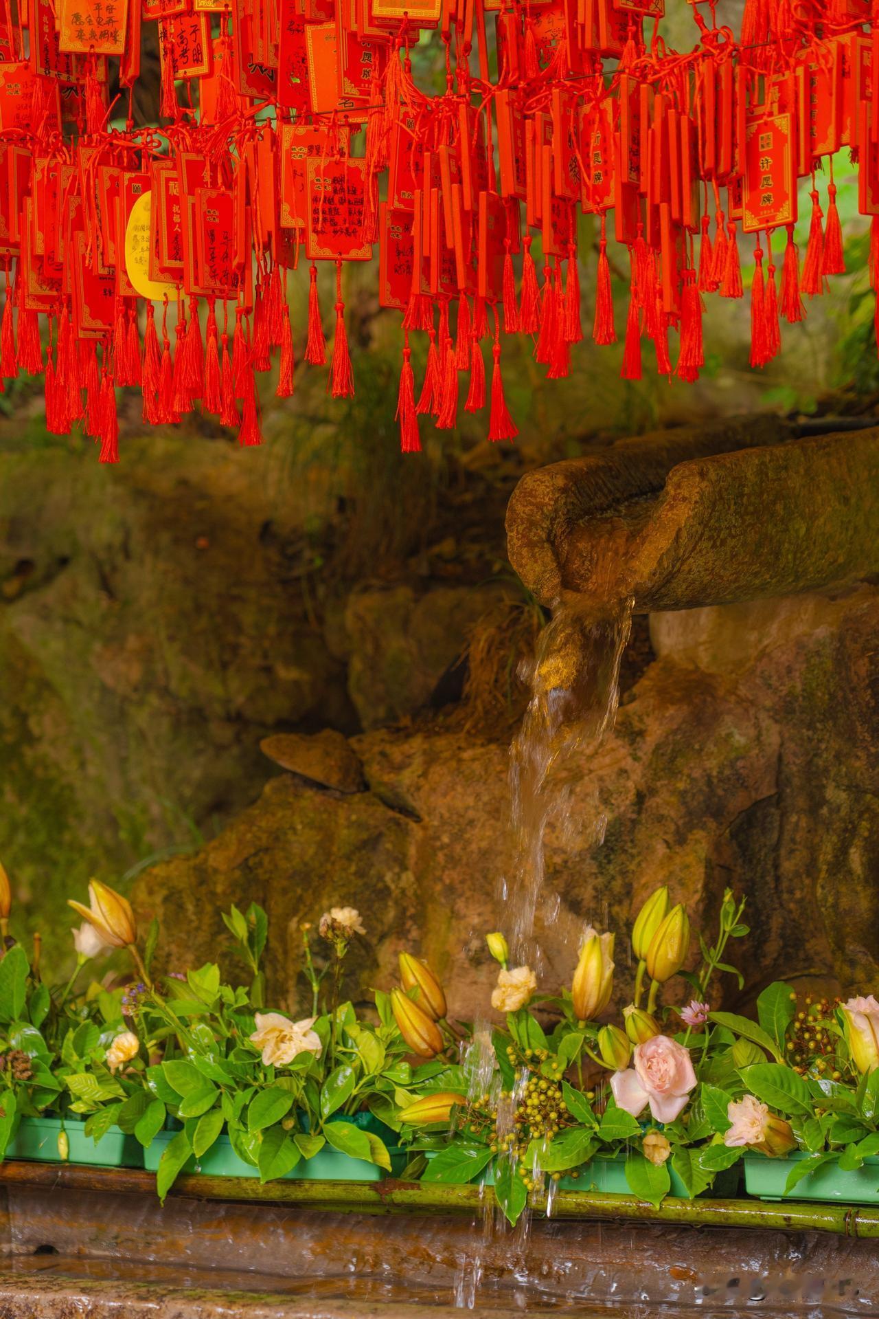 比起灵隐寺，我更喜欢它隔壁更小众的永福寺。
 再过段时间，等红枫乍起，请一定去永