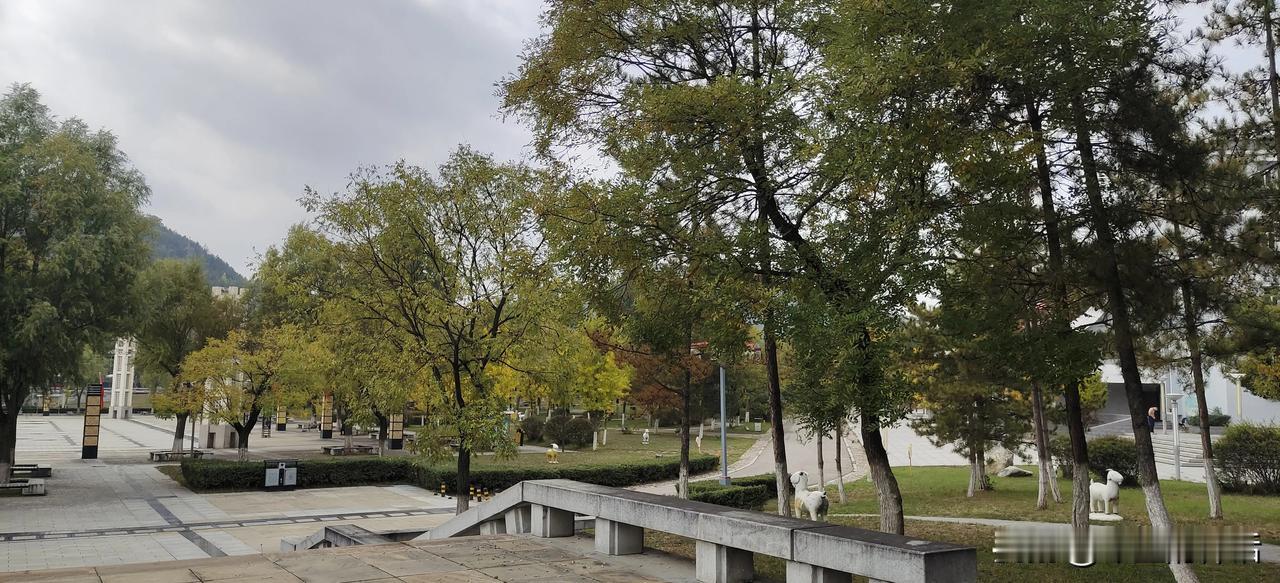 失眠成常态
#可以分享下今天你的心情吗#
#失眠的夜又来了# 
我大概43岁左右