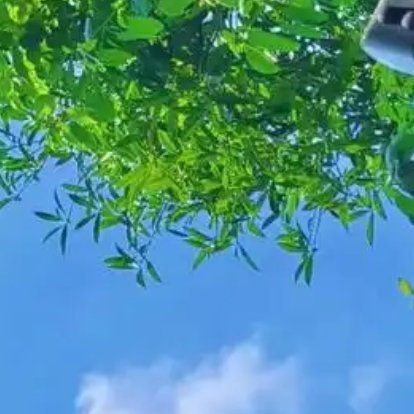每日一善 平凡日子里藏着万千温柔，步履不停便自有光亮。心怀热忱奔赴前路，接纳生活