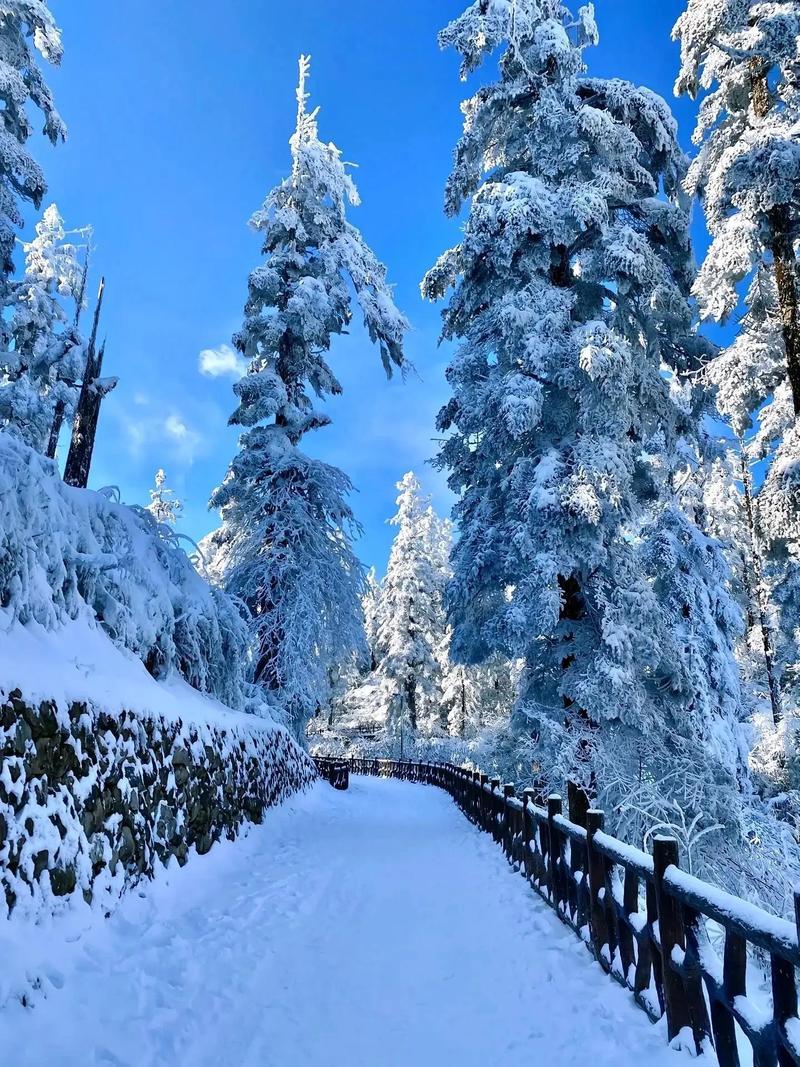 冬天，东北特别冷，外面树叶全落下，只有树枝。地上有冰霜。而屋里却暖暖的。你愿意到