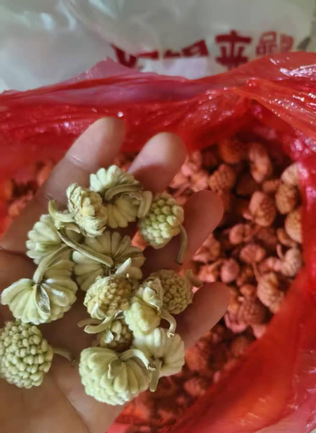 2500元买了不值10元的东西？老人防骗刻不容缓！

小宁妈妈用2500元/半斤