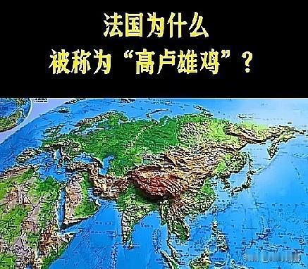 法国叫“高卢雄鸡”完整由来，分三层历史逻辑：
 
一、词源：高卢 Gallia 