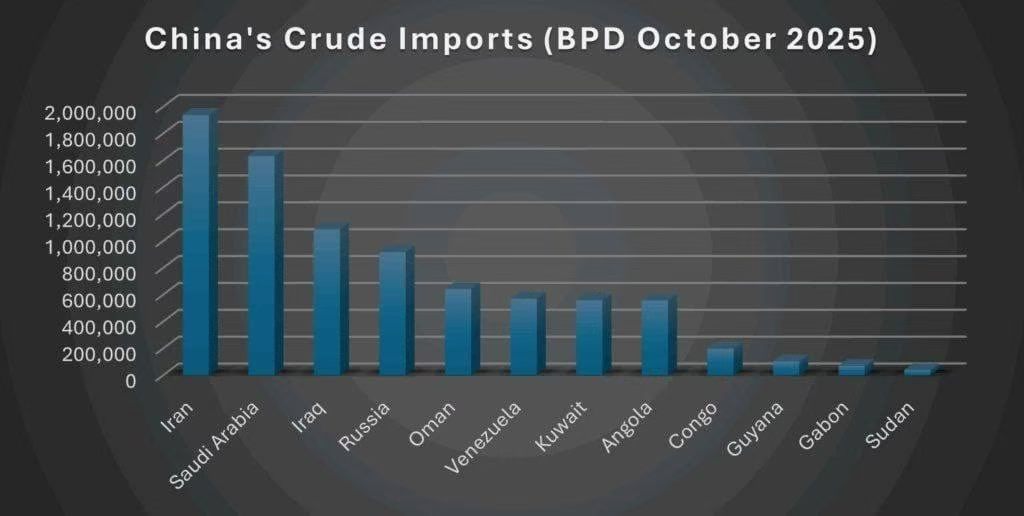 美国哥伦比亚大学国际与公共事务学院全球能源政策中心发布的2025年东大进口石油最