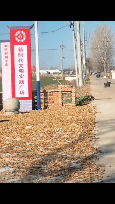 女子驾车途经乡间村庄，眼前一幕瞬间让人看呆！前方的公路上一架飞机正在缓缓滑行，机