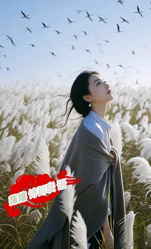 [玫瑰][微风]
上联：风劲芦花浅
上联：心同飞雁远
上联：芦花似解白头诺
[玫
