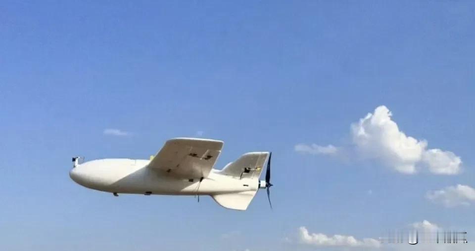 乌军对俄军的无人侦察机痛恨至极，打西方防空导弹又不划算，研发出了VB140无人机