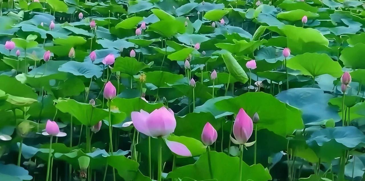 婚礼男方父亲致辞
这篇致辞，文彩飞扬，语言精彩，值得保存收藏。

各位来宾、各位