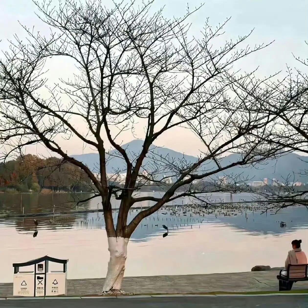 小众风格朋友圈背景图 