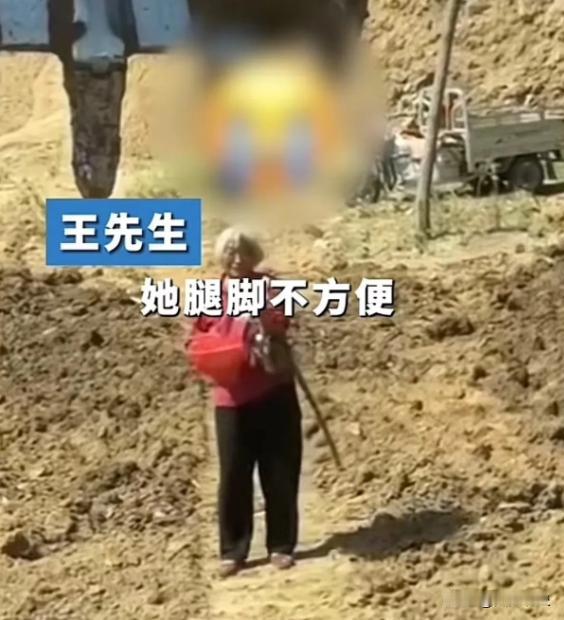 泪目了！安徽宿州，男子开挖机在田边干活，被老奶奶恳求帮她垫一下田里的土！原来，老