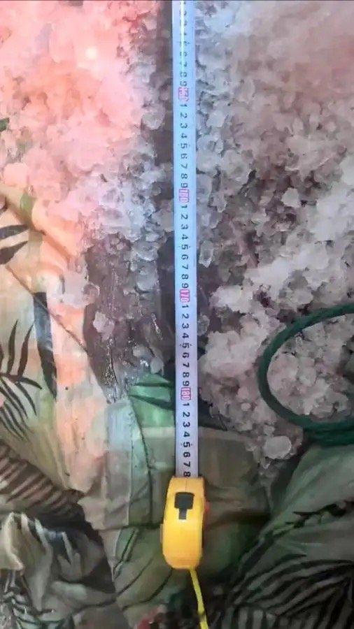 【215斤！宁波渔民东海捕获1条巨型龙趸 】近日，浙奉渔23085船在东海捕获一