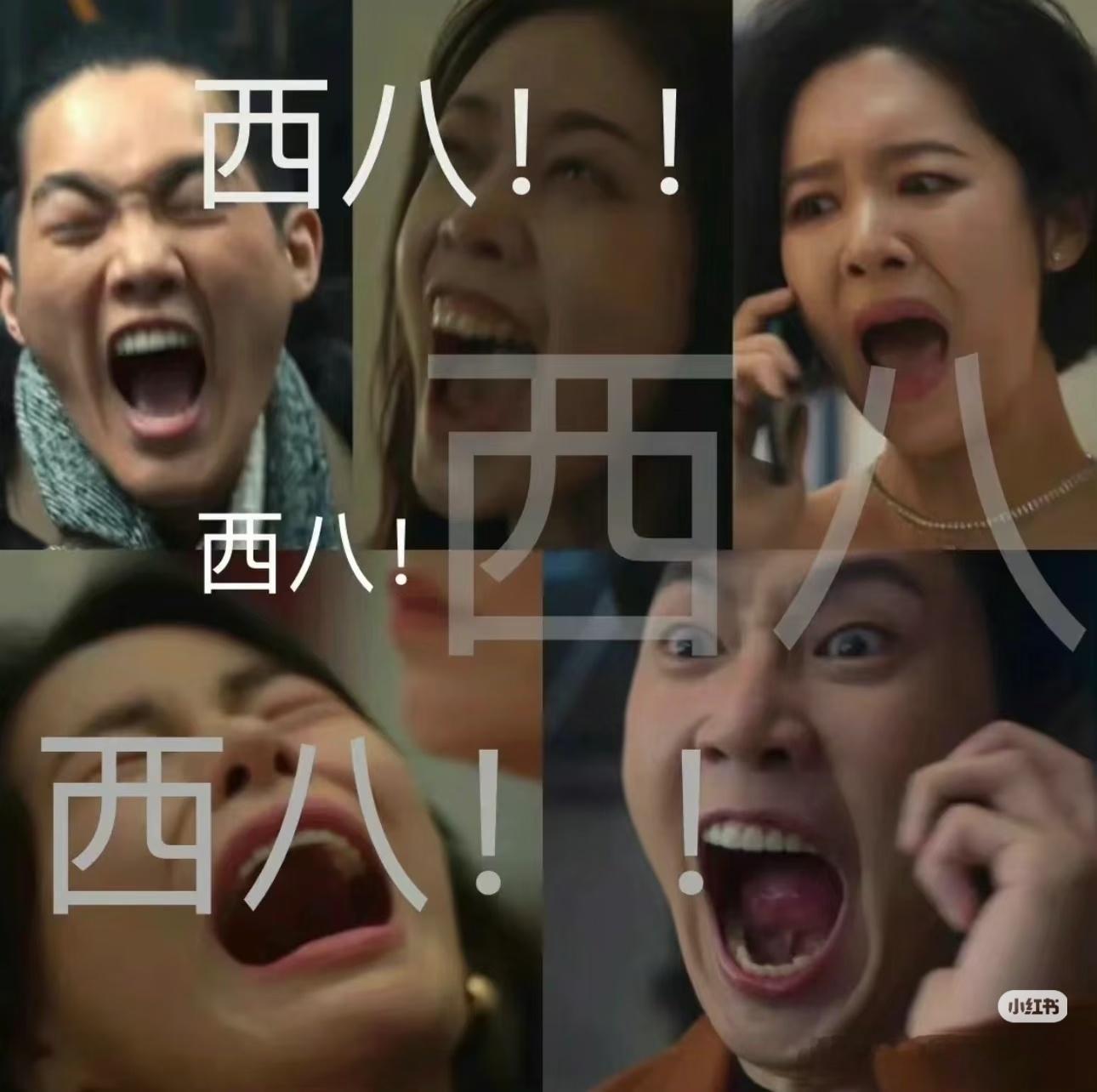 分享图片 