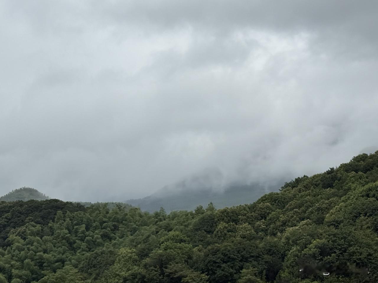 人人都认为，身体上洗得最多的部位是手，其实是脑。然而人人都不承认。不承认的本身，