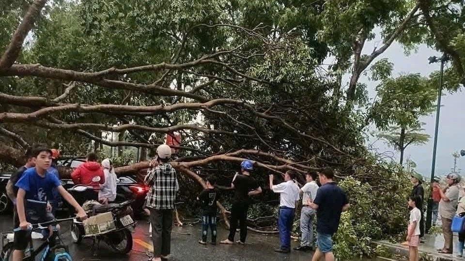 越南雷暴和山东蚊子
现在是三月末，我在东北已经见到了二十度的“高温”。而在一些地