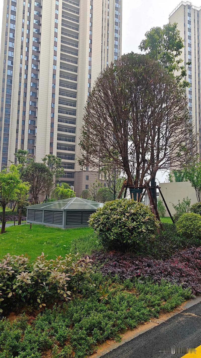 退休要不要卖房回老家？
退休留在大城市？还是卖房回农村老家。城市医疗方便、生活完