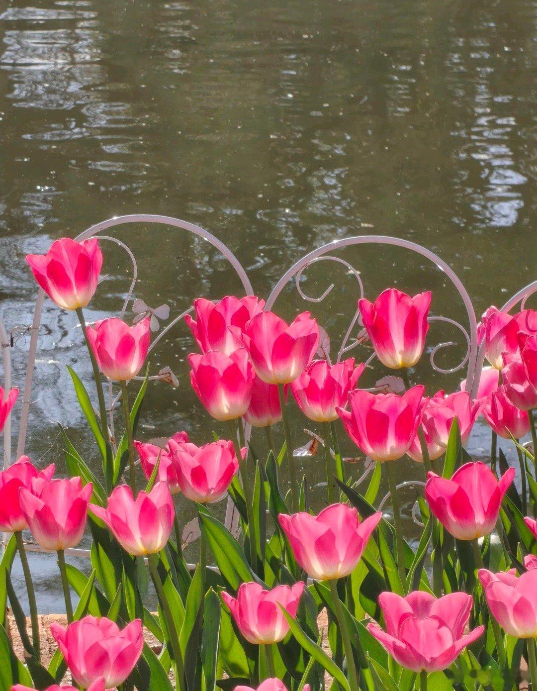 2月5日周四早间要闻一、个股公告• 光洋股份：与深圳玄创、黄山光洋签战略合作协议