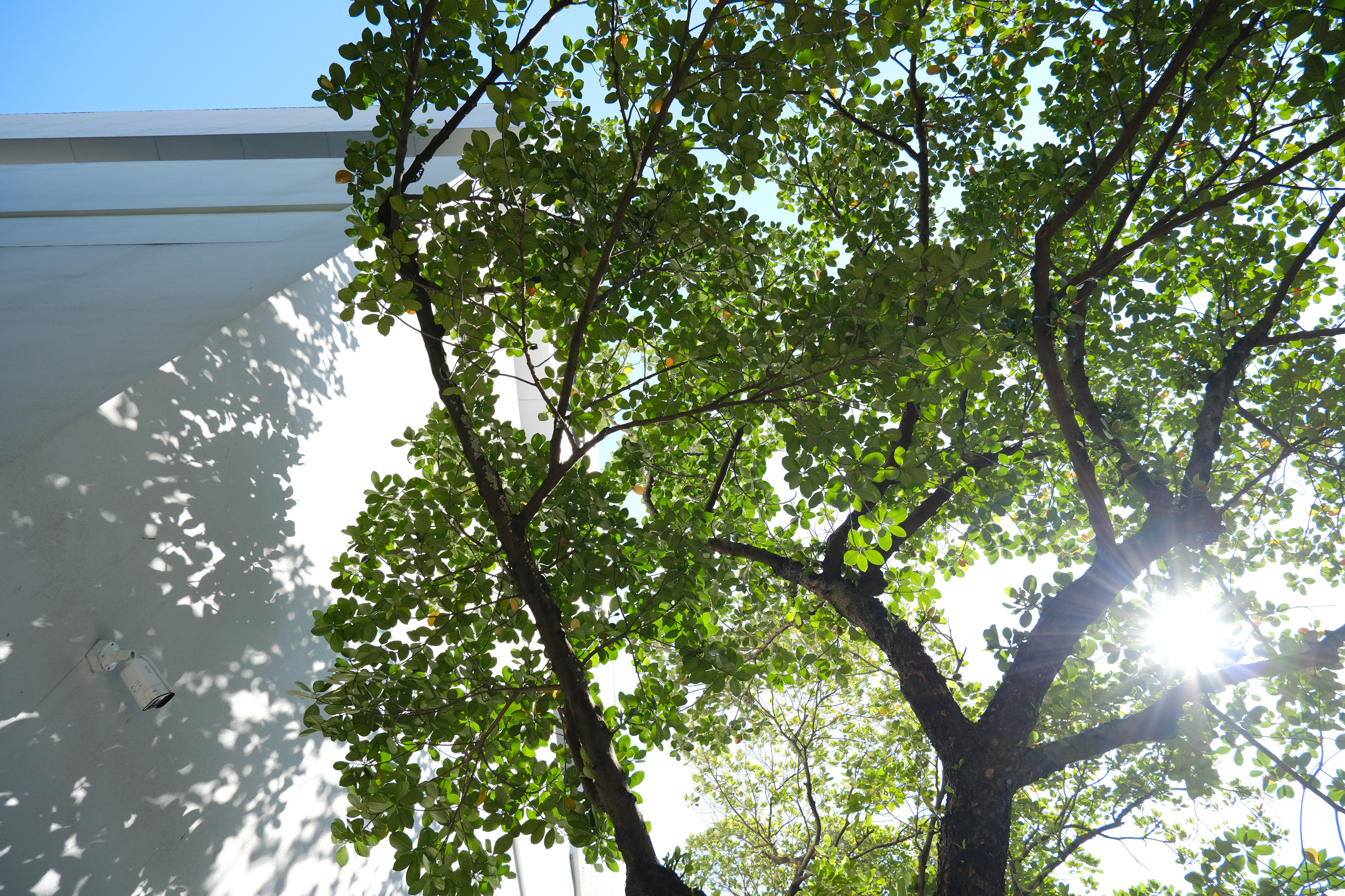 立冬后的广东人要小心中暑这个标签有点好笑确实还挺热的，不过中暑就有点难了6-10